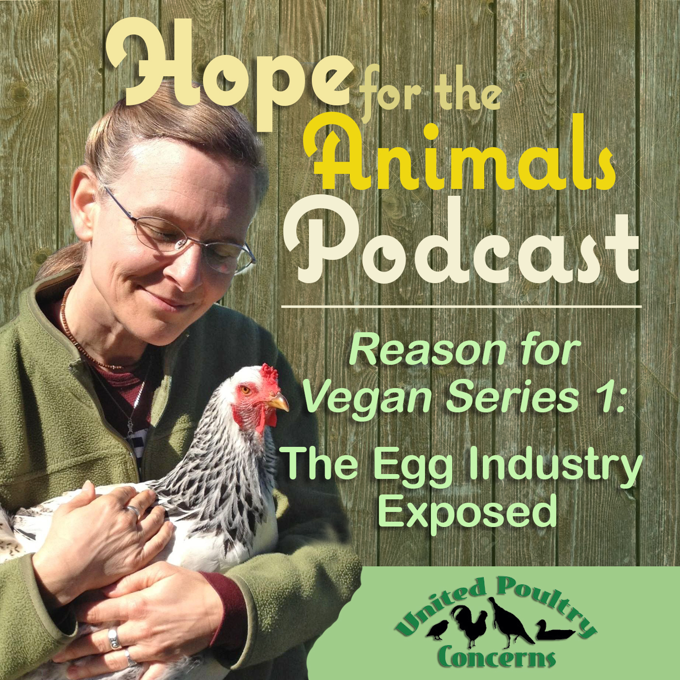 Reason for Vegan Series 1: The Egg Industry Exposed