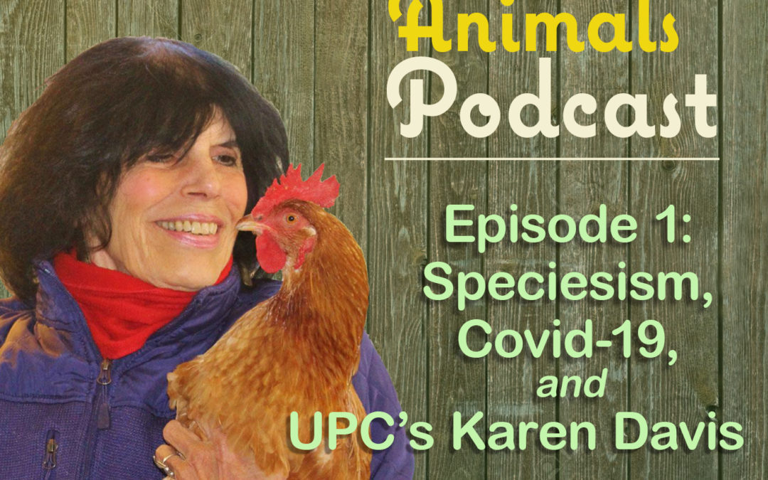 Episode 1: Speciesism and the Covid-19 Crisis