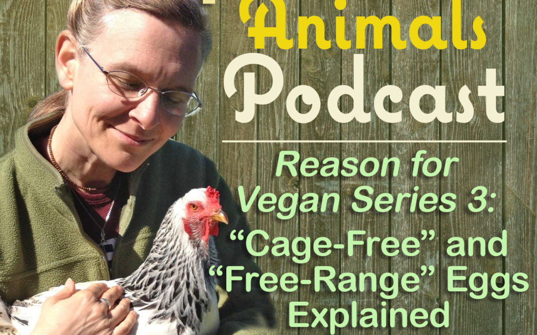 Reason for Vegan Series 3: “Cage-Free” and “Free-Range” Explained