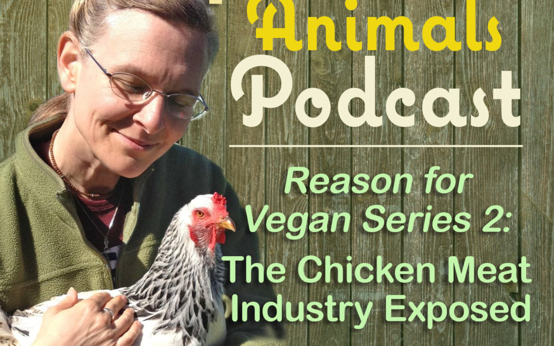 Reason for Vegan Series 2: The Chicken Meat Industry Exposed