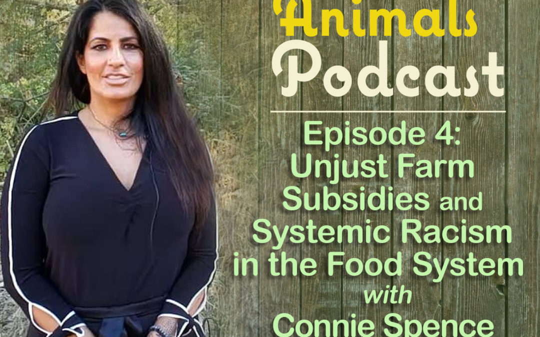 Episode 4: Unjust Farm Subsidies and Systemic Racism in the Food System with Connie Spence