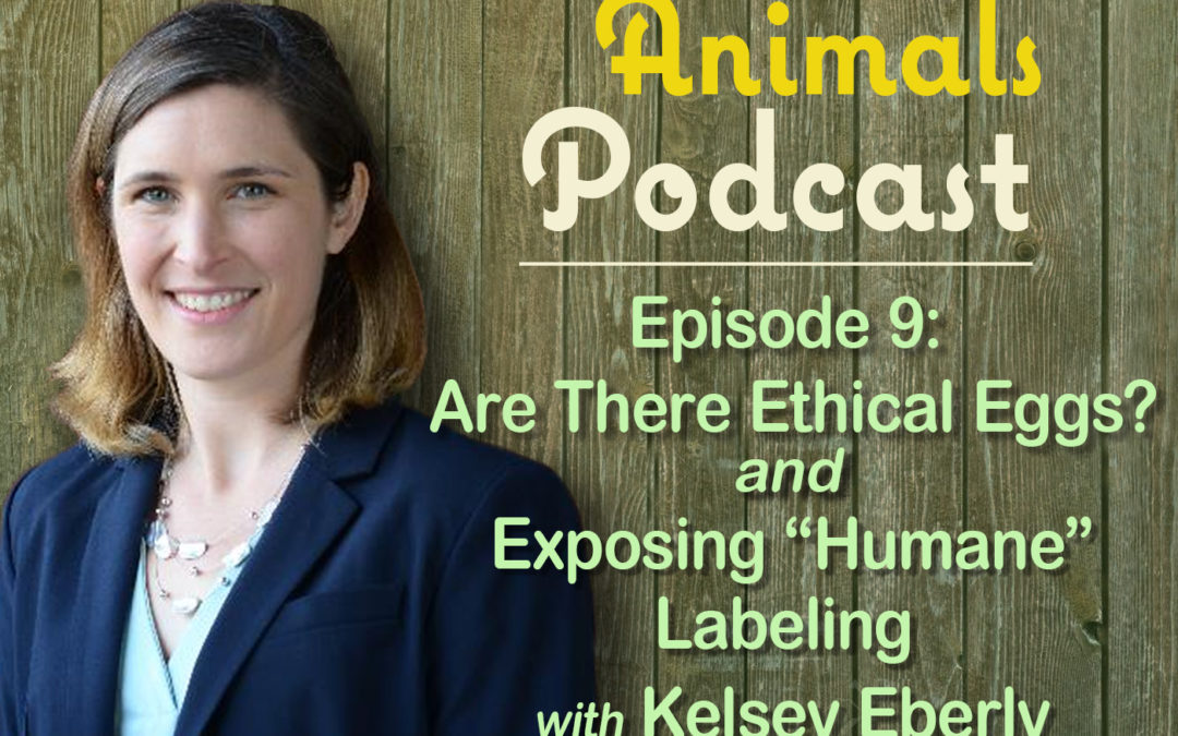 Episode 9: Are There Ethical Eggs? and Exposing “Humane” Labeling with Kelsey Eberly