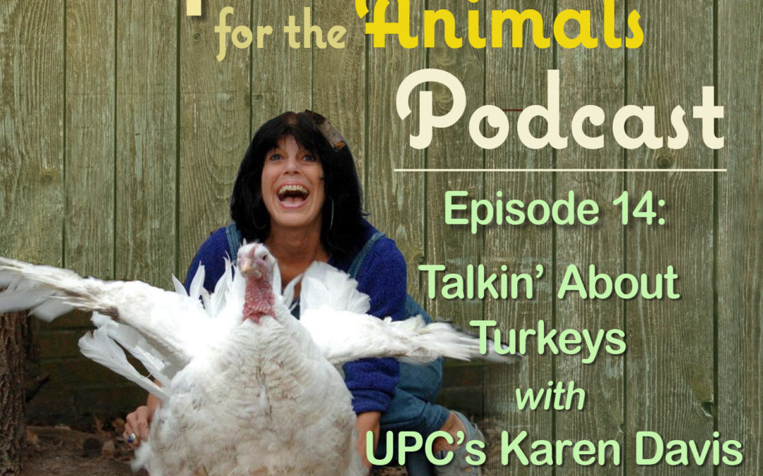 Episode 14: Talkin’ About Turkeys with UPC’s Karen Davis