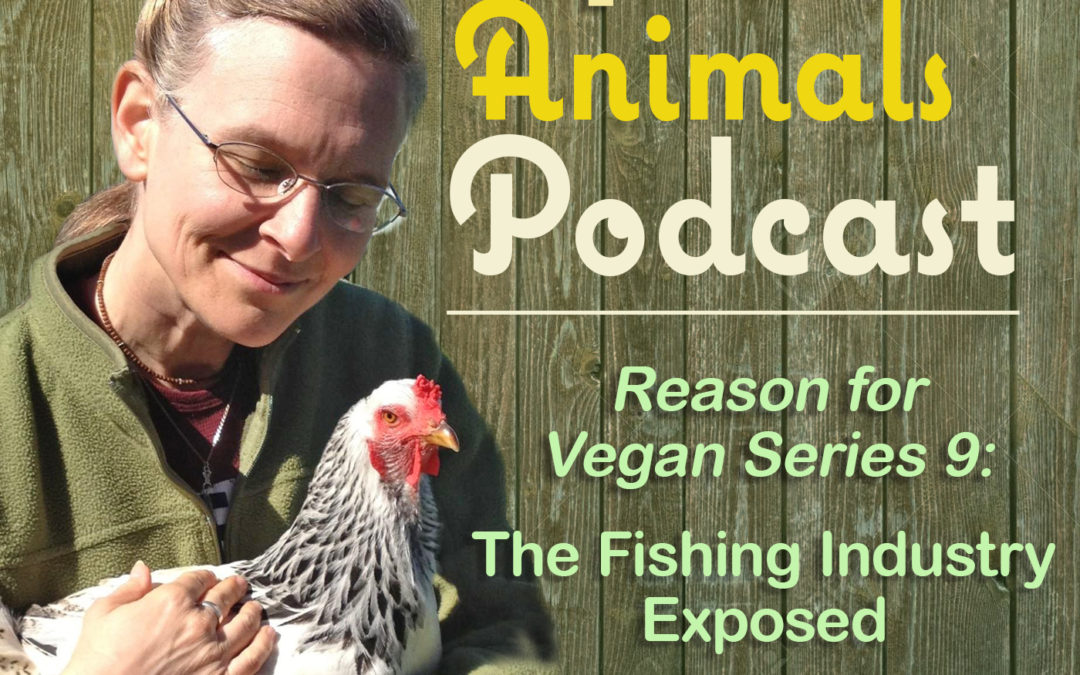 Reason for Vegan Series 9: The Fishing Industry Exposed