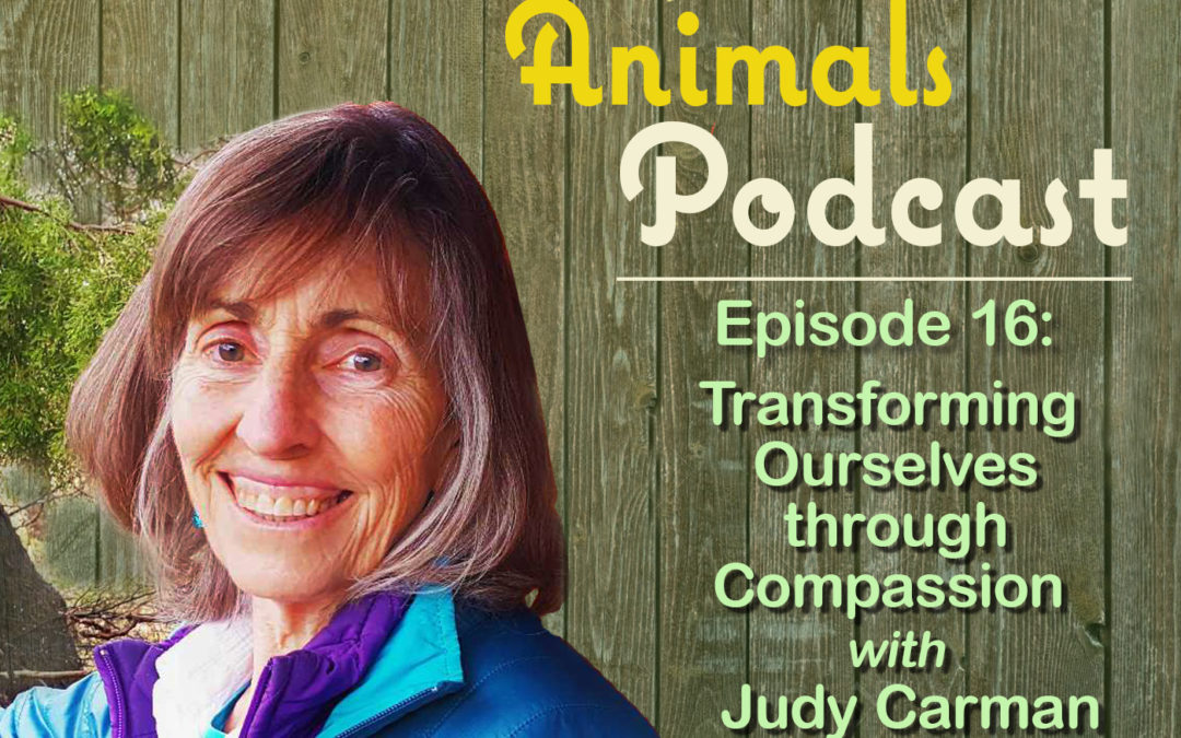 Episode 16: Transforming Ourselves Through Compassion with Judy Carman