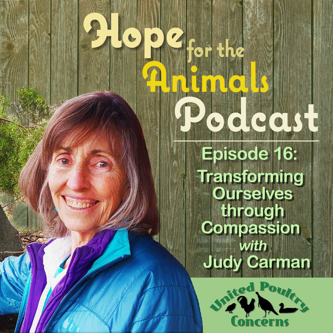 Episode 16: Transforming Ourselves Through Compassion with Judy Carman