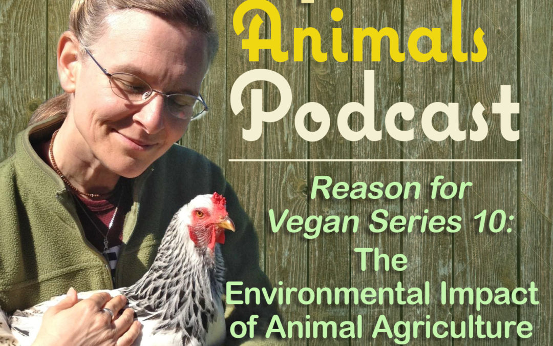 Reason for Vegan Series 10: The Environmental Impact of Animal Agriculture