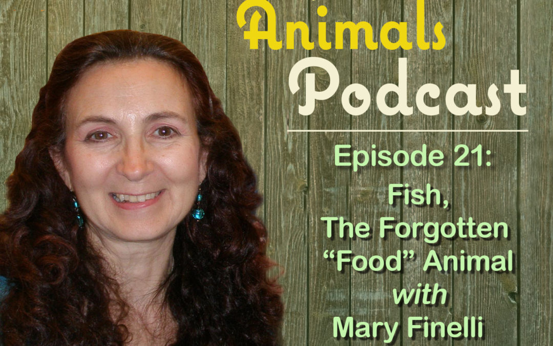 Episode 21: Fish, the Forgotten “Food” Animal with Mary Finelli of Fish Feel