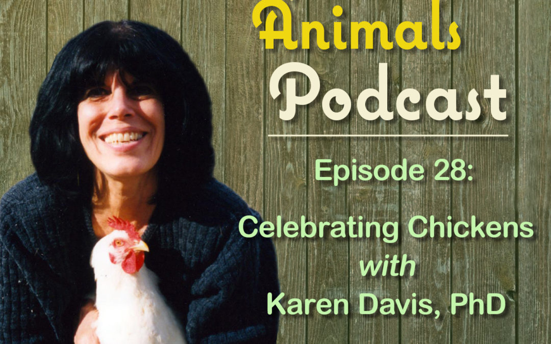 Episode 28: Celebrating Chickens with Karen Davis, PhD