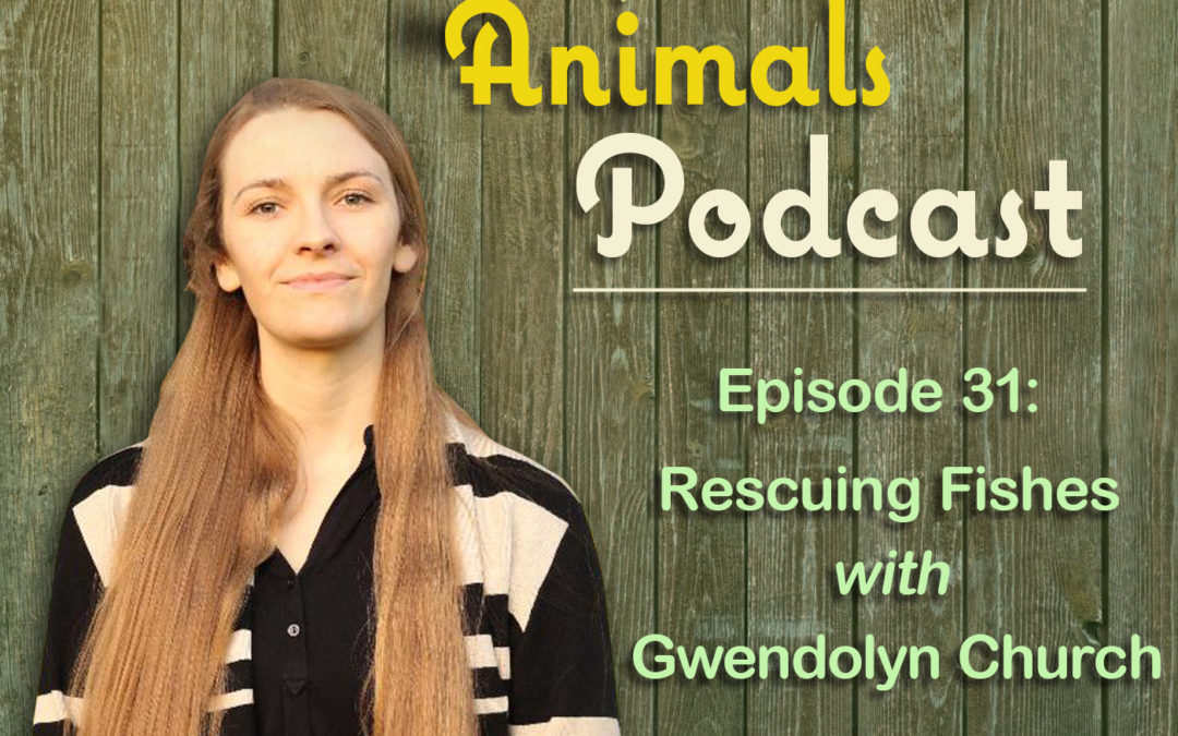 Episode 31: Rescuing Fishes with Gwendolyn Church