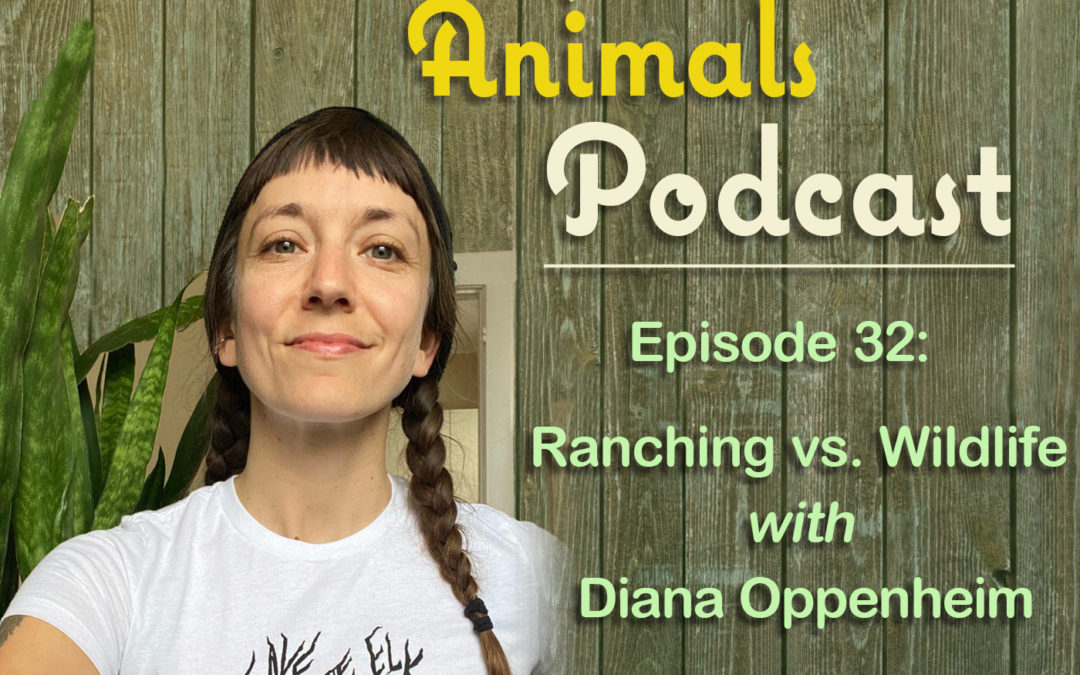 Episode 32: Ranching vs. Wildlife with Diana Oppenheim