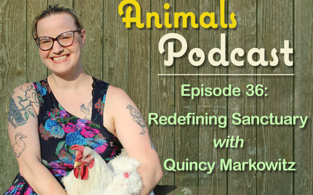 Episode 36: Redefining Sanctuary with Quincy Markowitz