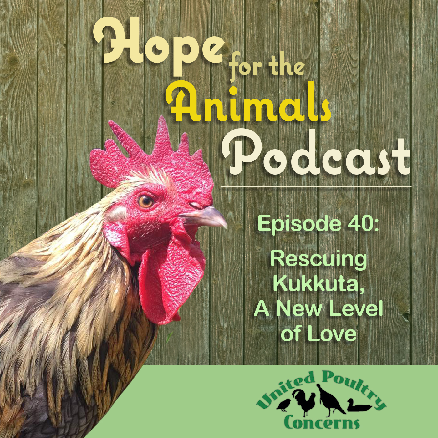 Episode 40: Rescuing Kukkuta: A New Level of Love
