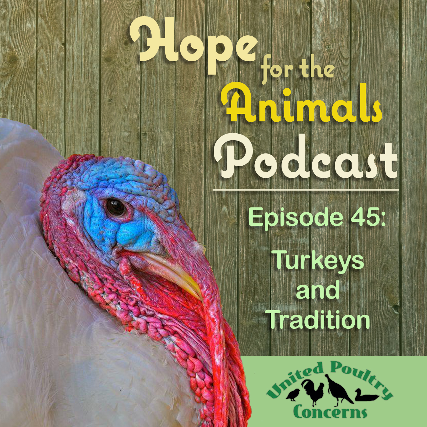 Episode 45: Turkeys and Tradition