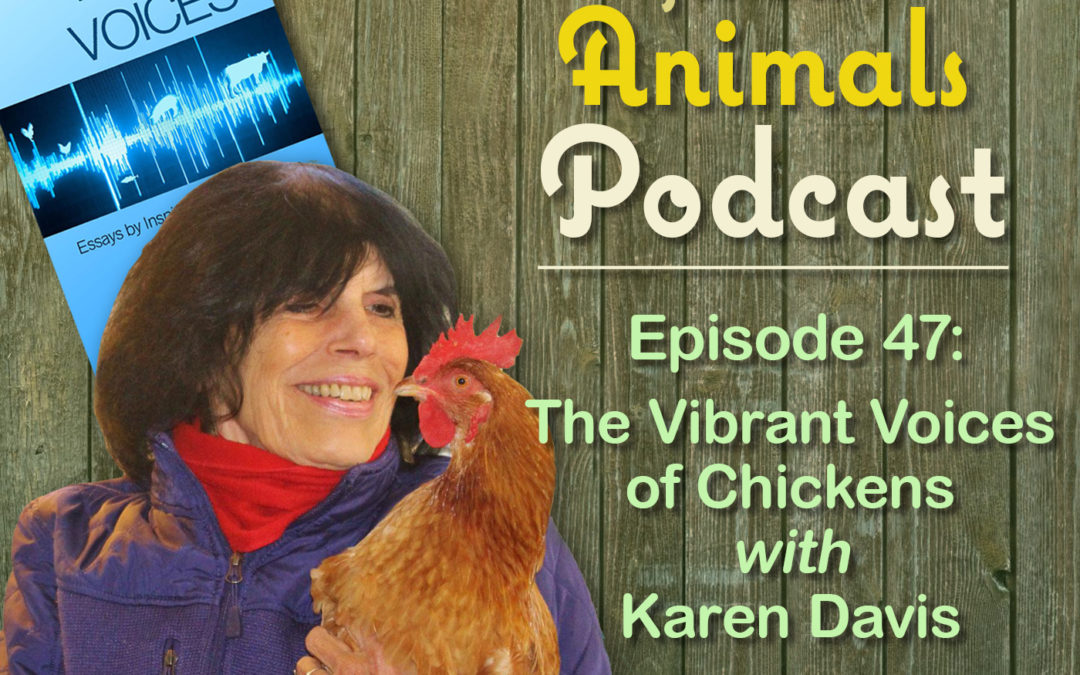 Episode 47: The Vibrant Voices of Chickens with Karen Davis
