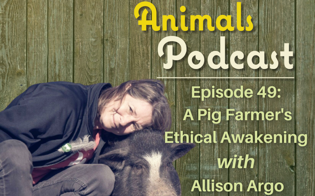 Episode 49: A Pig Farmer’s Ethical Awakening with Filmmaker Allison Argo
