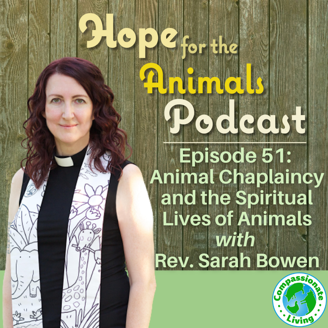 Episode 51: Animal Chaplaincy and the Spiritual Lives of Animals with Rev. Sarah Bowen