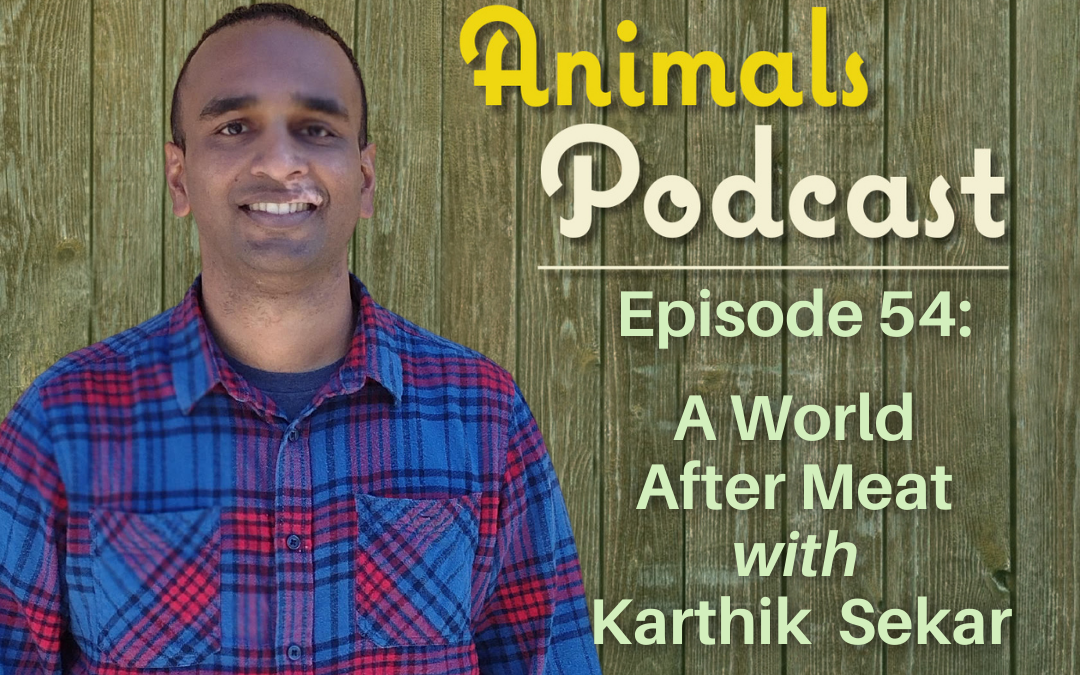 Episode 54: A World After Meat with Karthik Sekar