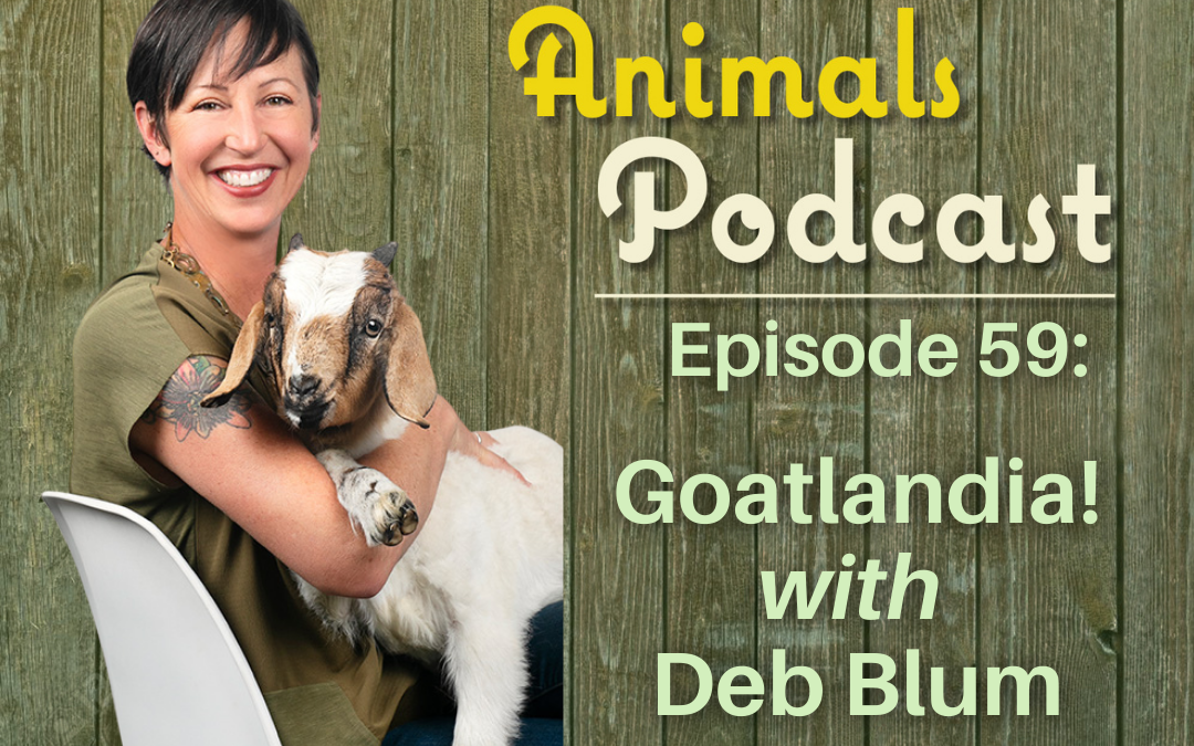 Episode 59: Goatlandia! with Deborah Blum