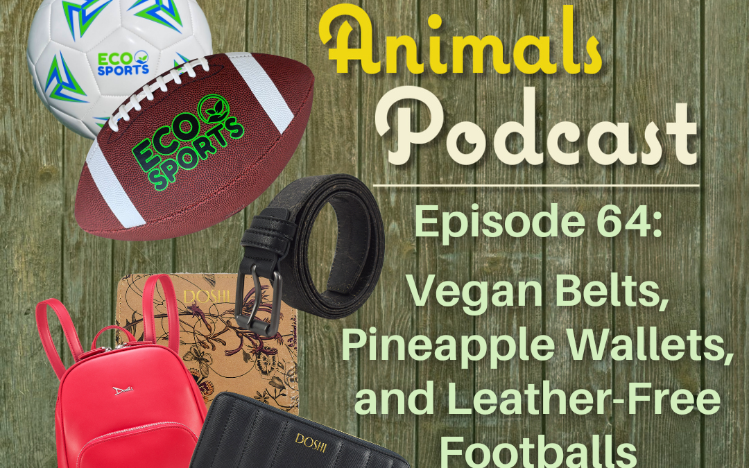 Episode 64: Vegan Belts, Pineapple Wallets, and Leather-Free Footballs