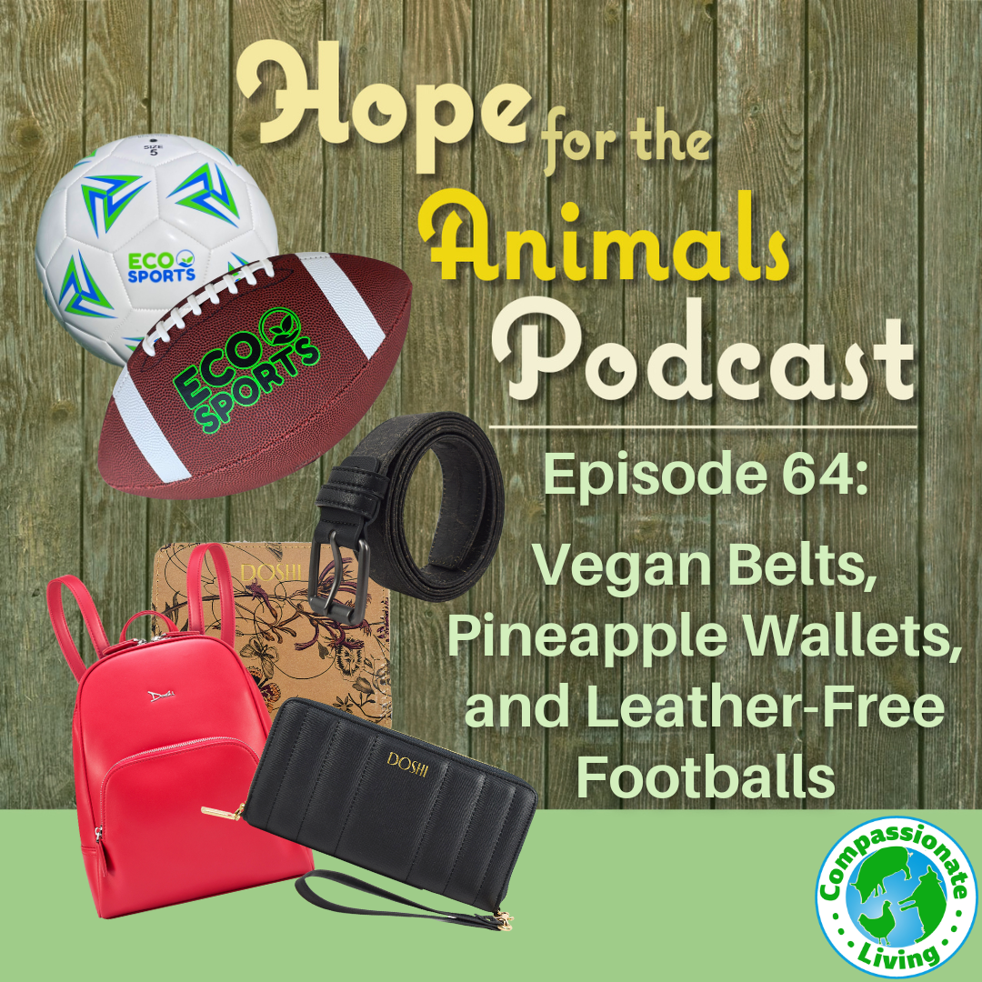 Episode 64: Vegan Belts, Pineapple Wallets, and Leather-Free Footballs
