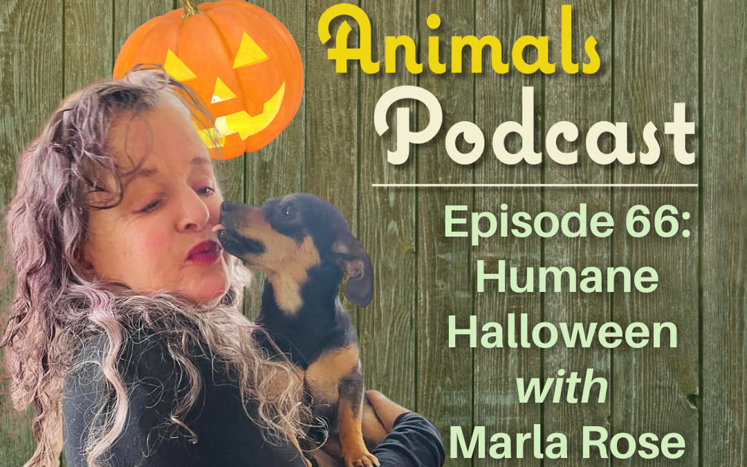 Episode 66: Humane Halloween with Marla Rose