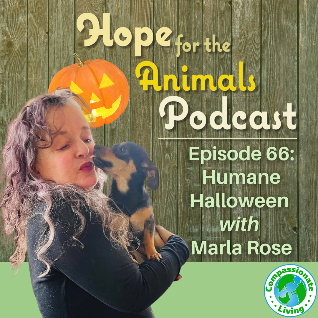 Episode 66: Humane Halloween with Marla Rose