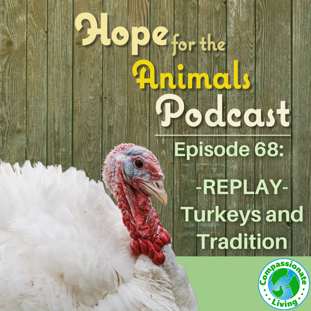 Episode 68: REPLAY- Turkeys and Tradition
