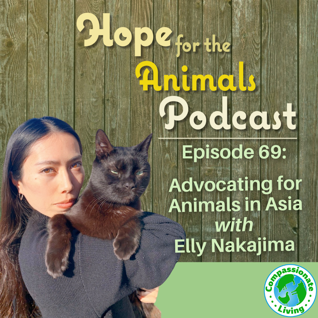 Episode 69: Advocating for Animals In Asia with Elly Nakajima