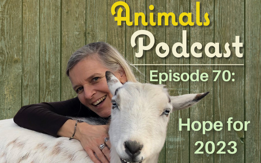 Episode 70: Hope for 2023