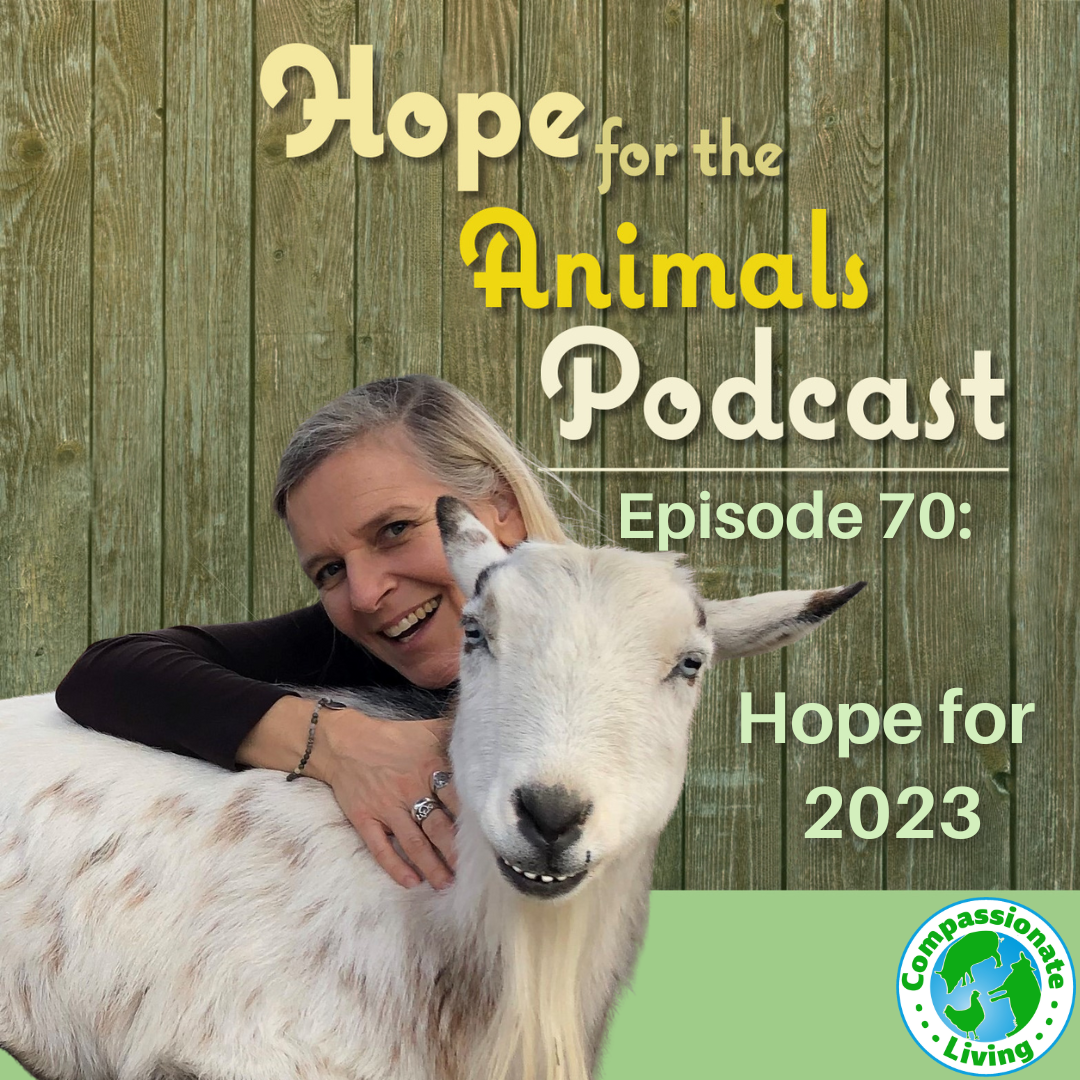 Episode 70: Hope for 2023