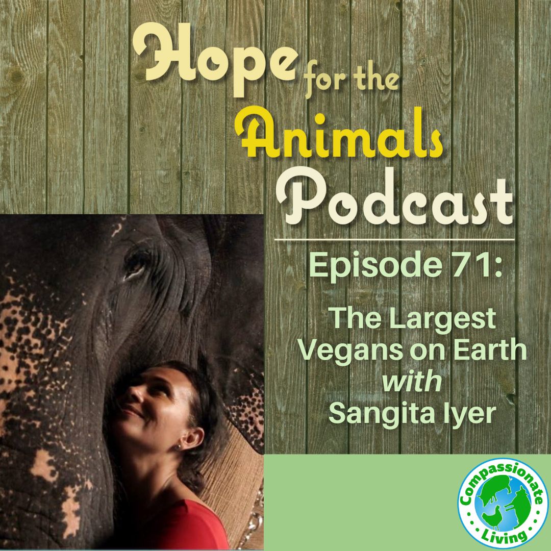 Episode 71: The Largest Vegans On Earth with Sangita Iyer