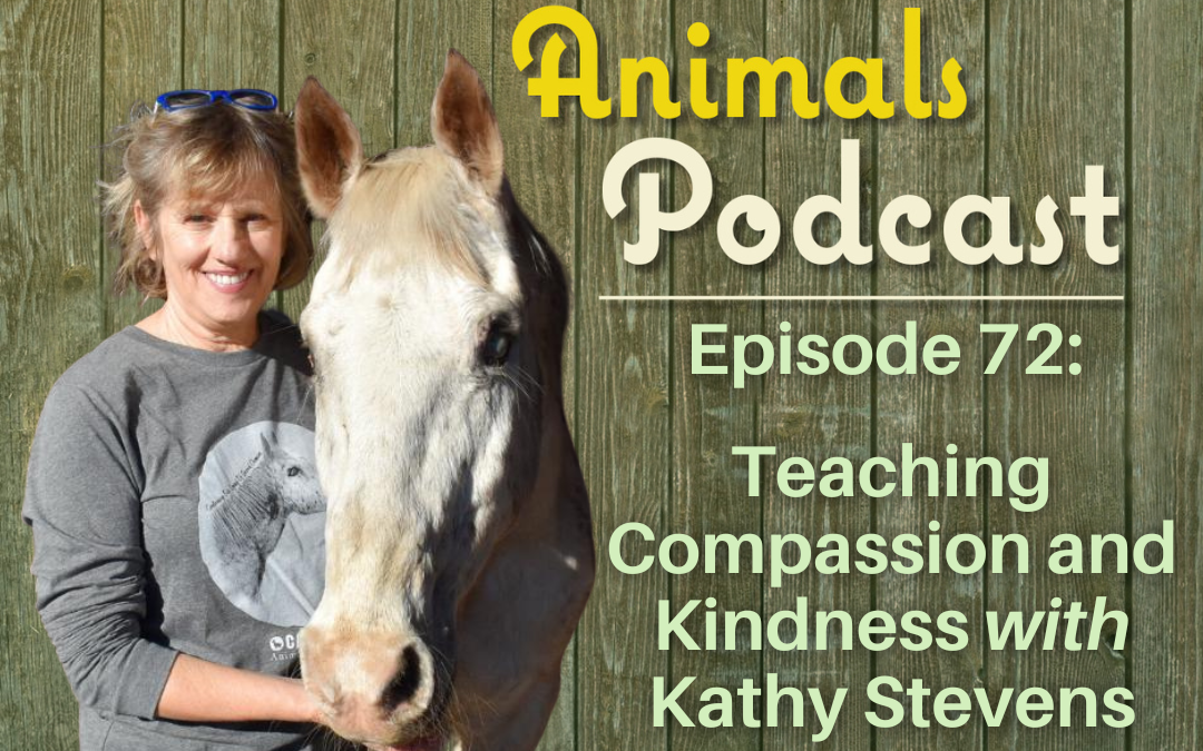 Episode 72: Teaching Compassion and Kindness with Kathy Stevens