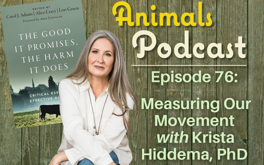 Episode 76: Measuring Our Movement with Krista Hiddema, PhD