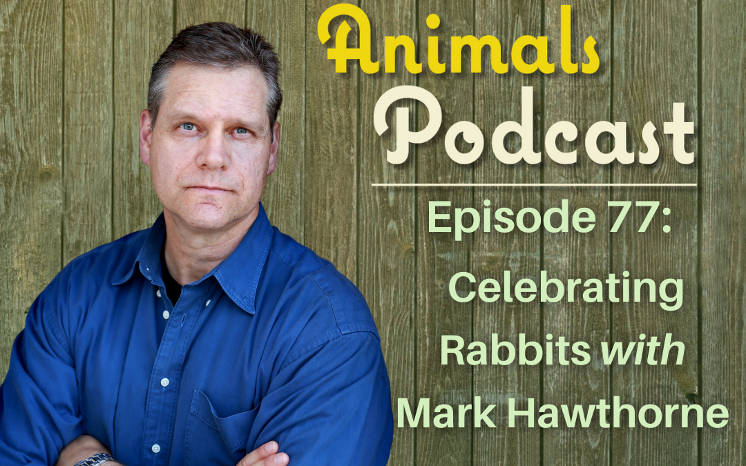 Episode 77: Celebrating Rabbits with Mark Hawthorne