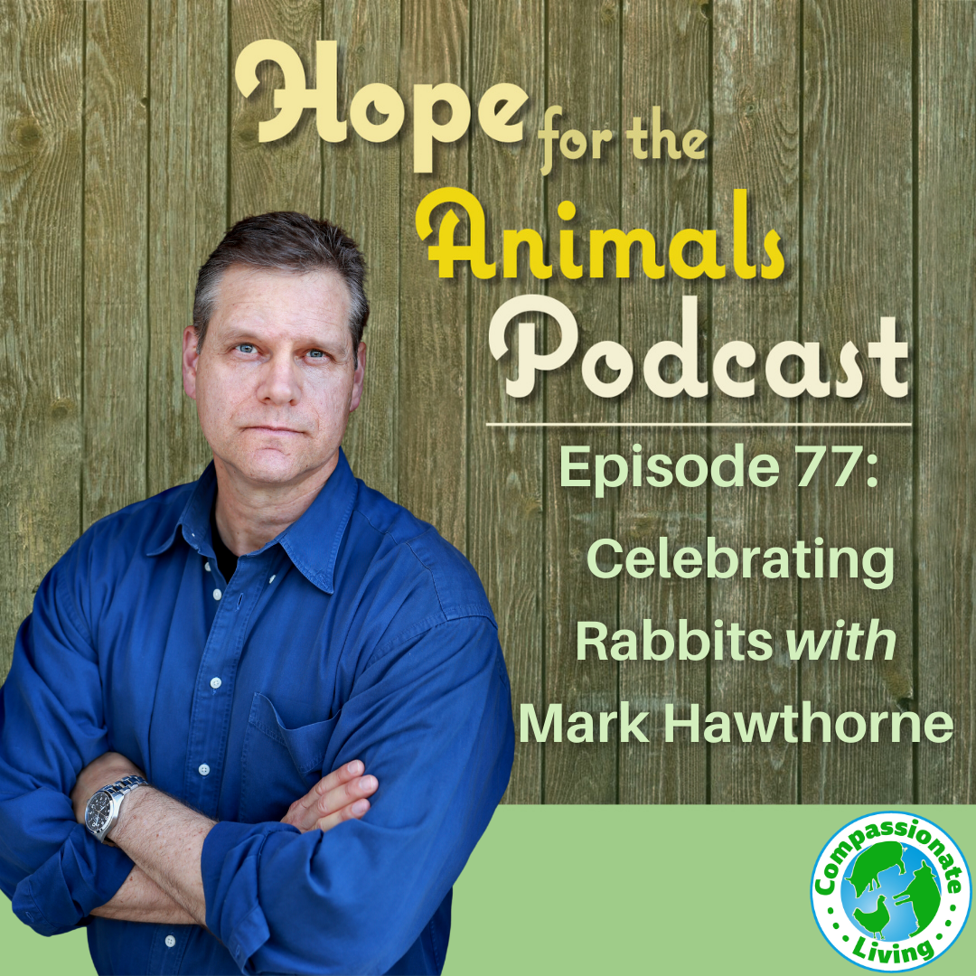 Episode 77: Celebrating Rabbits with Mark Hawthorne