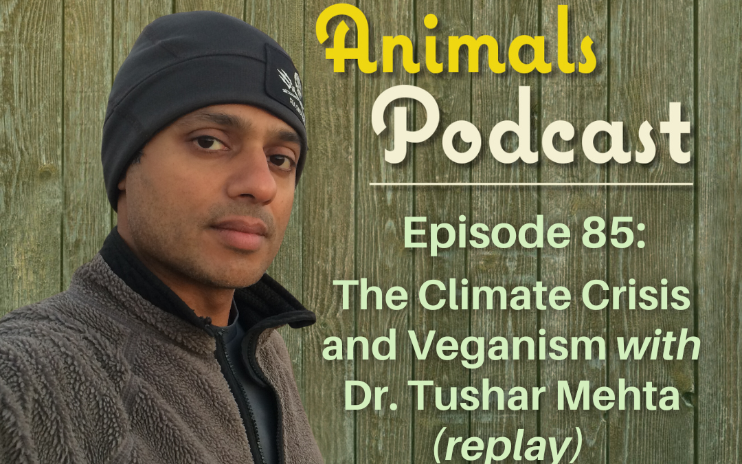 Episode 85: The Climate Crisis and Regenerative Grazing with Dr. Tushar Mehta (replay)