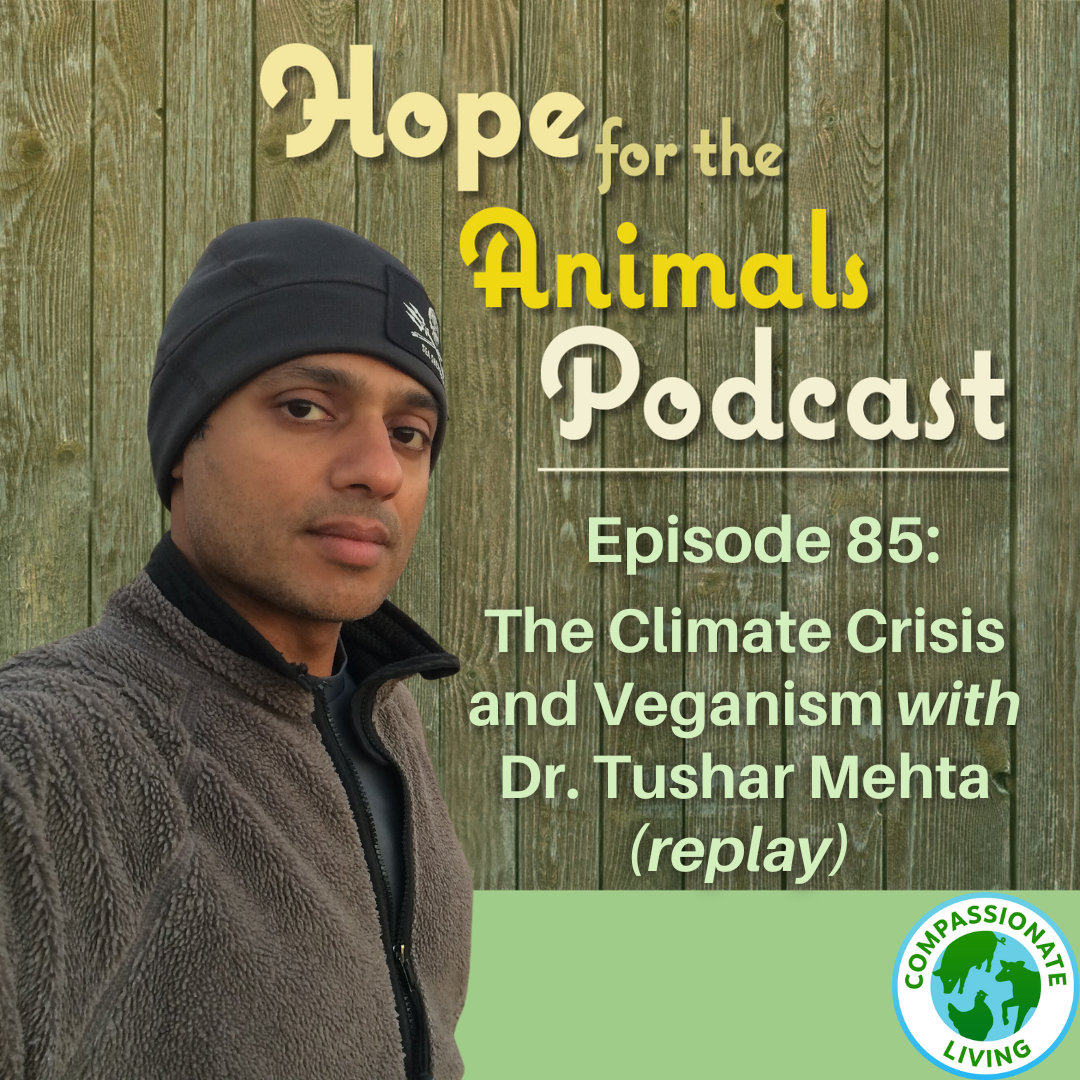 Episode 85: The Climate Crisis and Regenerative Grazing with Dr. Tushar Mehta (replay)