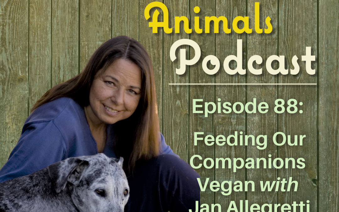 Episode 88: Feeding Our Companions Vegan with Jan Allegretti