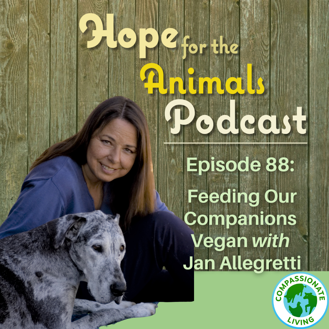 Episode 88: Feeding Our Companions Vegan with Jan Allegretti