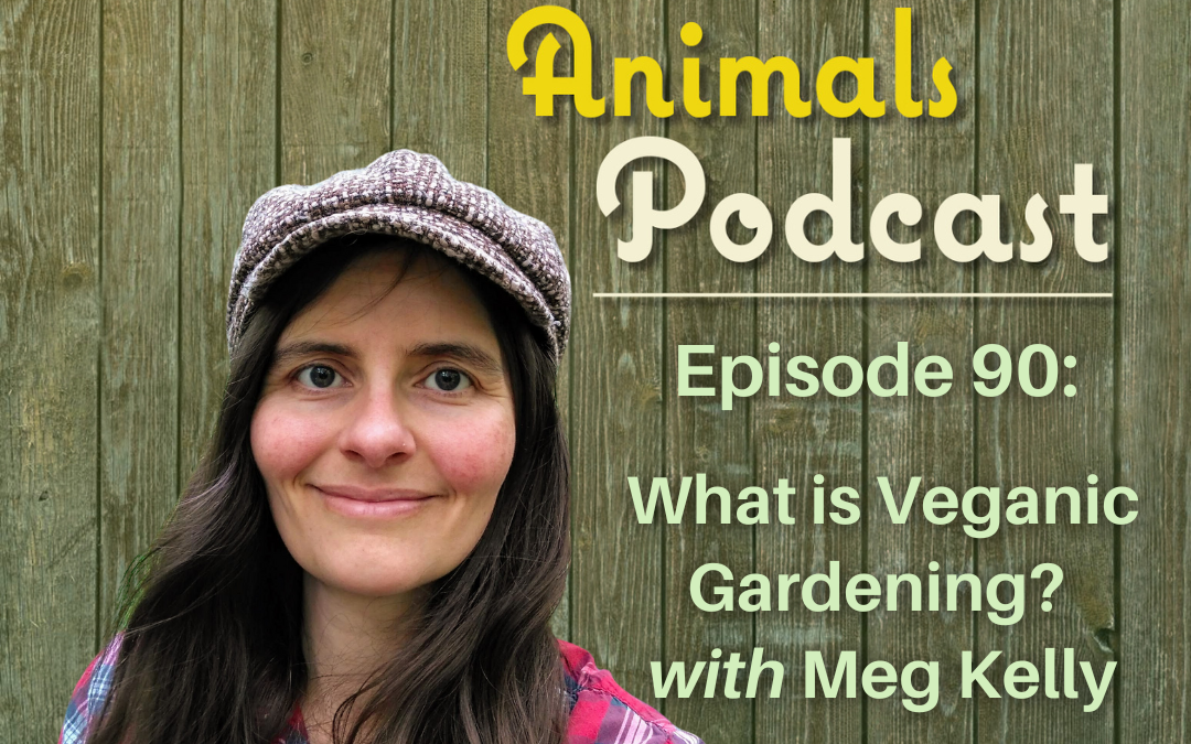 Episode 90:  What is Veganic Gardening with Meg Kelly
