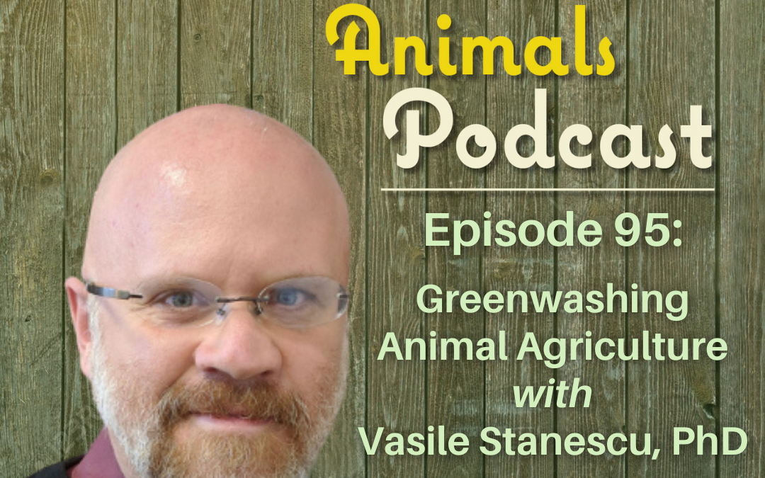 Episode 95: Greenwashing Animal Agriculture with Vasile Stanescu, PhD