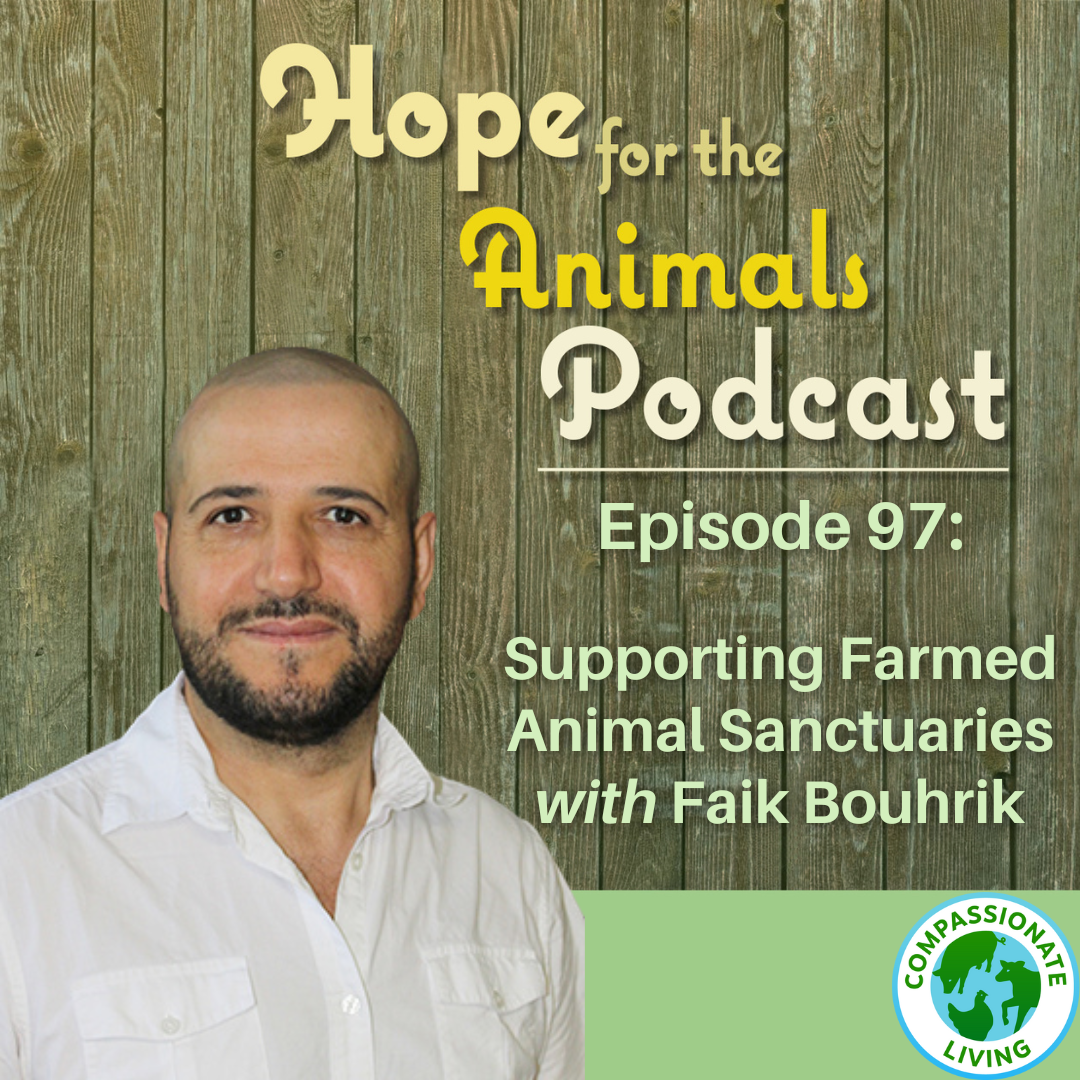 Episode 97: Supporting Farmed Animal Sanctuaries with Faik Bouhrik