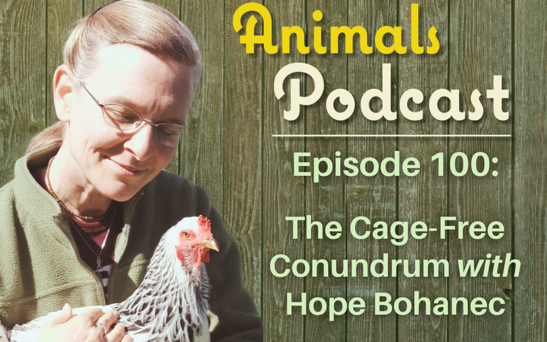 Episode 100: The Cage-Free Conundrum with Hope Bohanec