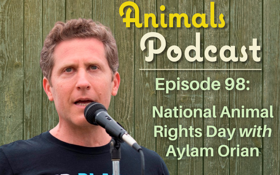 Episode 98: National Animal Rights Day with Aylam Orian