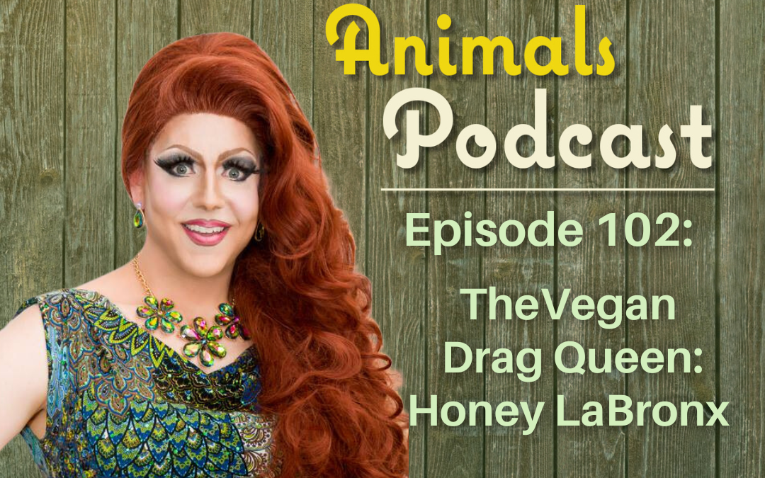 Episode 102: The Vegan Drag Queen, Honey LaBronx