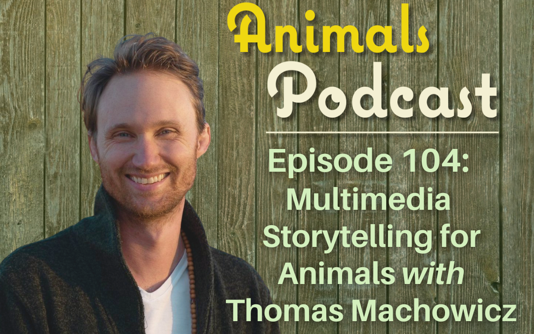 Episode 104: Multimedia Storytelling for Animals with Thomas Machowicz