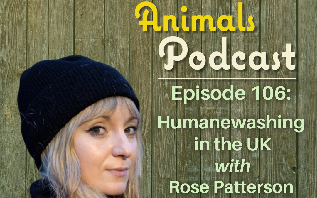 Episode 106: Humanewashing in the UK with Rose Patterson