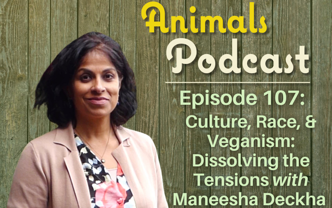 Episode 107: Culture, Race, and Veganism: Dissolving the Tensions with Maneesha Deckha