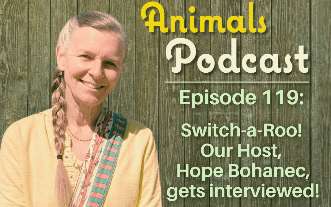 Episode 119: Switch-a-Roo: Our Host, Hope Bohanec, Gets Interviewed!